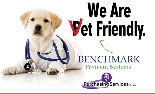 Benchmark Payment Systems